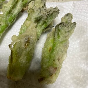 春の山菜天ぷら3種盛　タラの芽　こごみ　菜の花